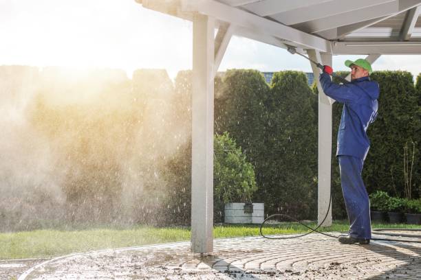 Best Rust Removal  in Bronson, MI